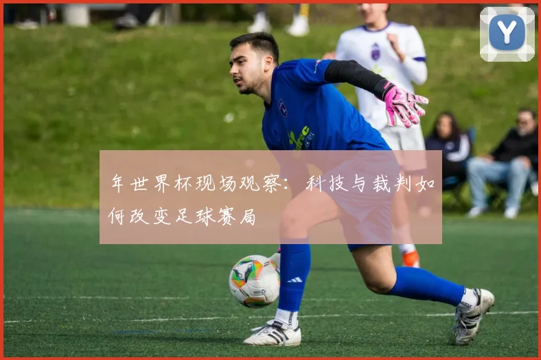 年世界杯现场观察:科技与裁判如何改变足球赛局