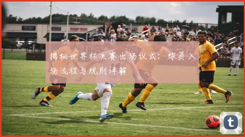 揭秘世界杯决赛出场仪式:球员入场流程与规则详解