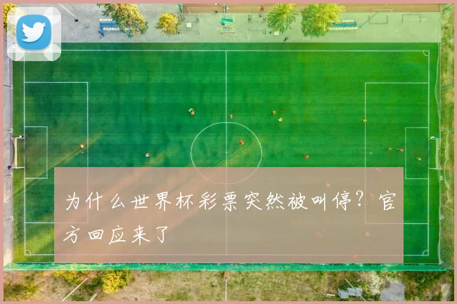 为什么世界杯彩票突然被叫停?官方回应来了