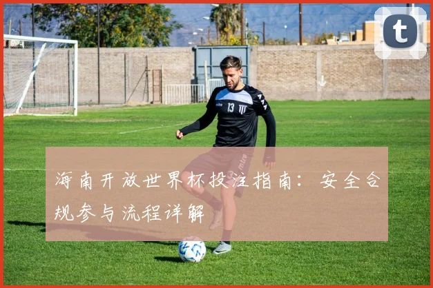 海南开放世界杯投注指南：安全合规参与流程详解