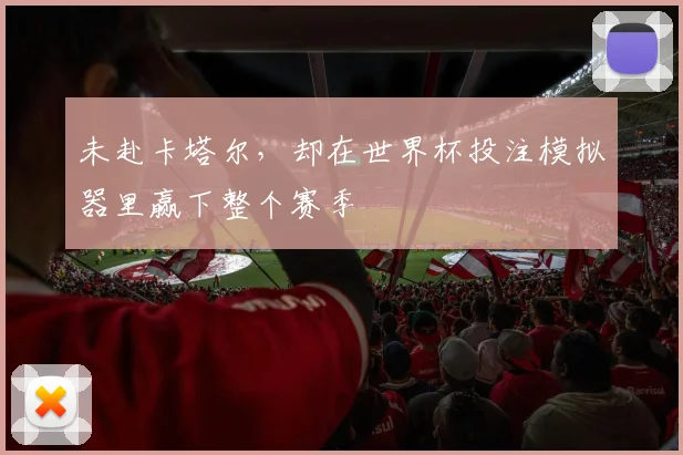 未赴卡塔尔，却在世界杯投注模拟器里赢下整个赛季