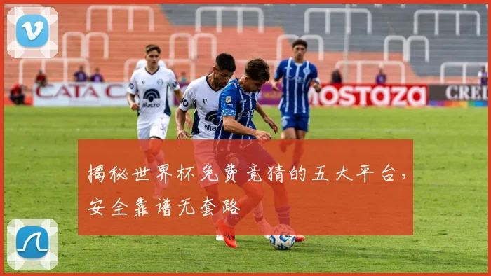 揭秘世界杯免费竞猜的五大平台，安全靠谱无套路