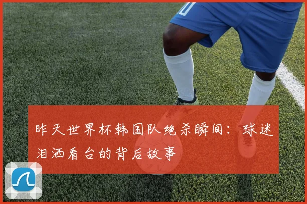 昨天世界杯韩国队绝杀瞬间：球迷泪洒看台的背后故事