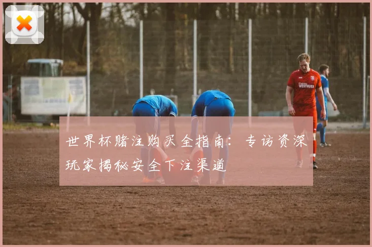 世界杯赌注购买全指南：专访资深玩家揭秘安全下注渠道