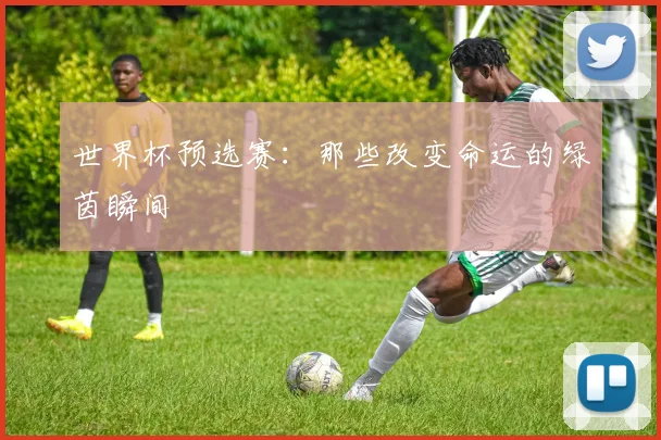 世界杯预选赛：那些改变命运的绿茵瞬间